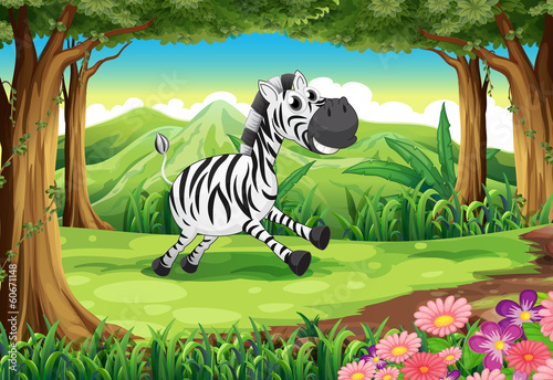 A zebra at the forest