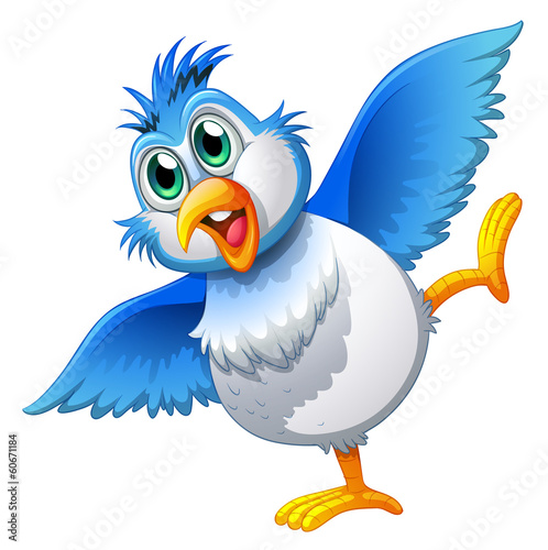 A cute bird