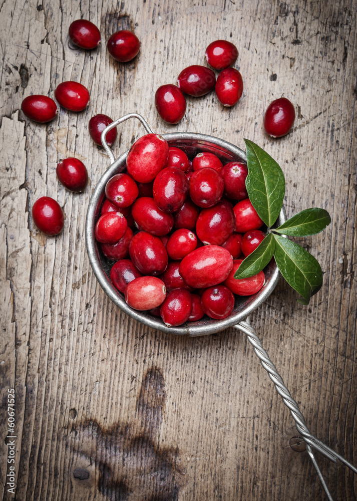 fresh cranberries on a kitchen table fresh cranberries on a kitchen table