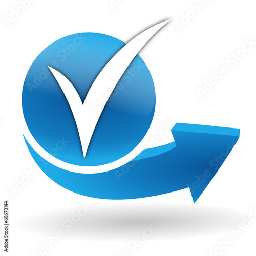 cocher sur bouton web bleu