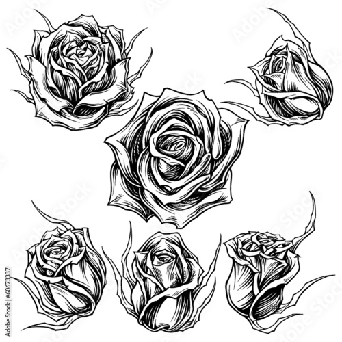 Roses Line Work