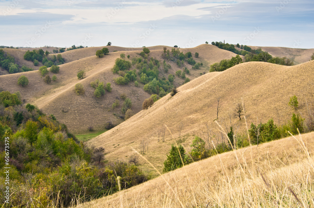 Fototapeta premium Landscape of hills covered with yellow grass at autumn afternoon