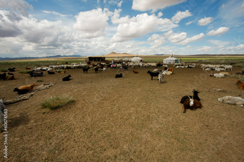 Pastwiska Mongolii