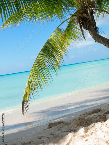 tropical beach in Dominicana © anakondasp