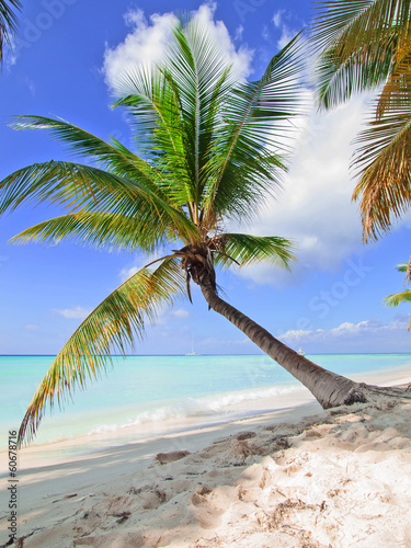 Fototapeta Naklejka Na Ścianę i Meble -  tropical beach in Dominican republic.