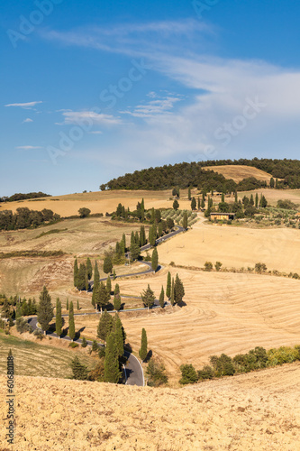 Monticchiello strada di curve photo