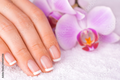 beautiful manicure with pink orchid on the white