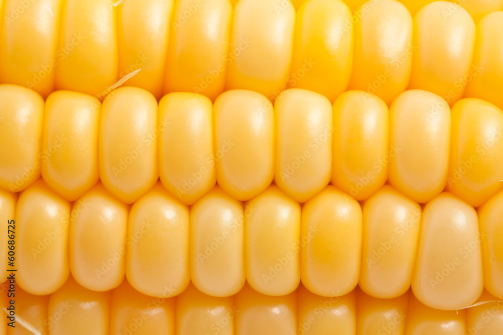 Corn Corn