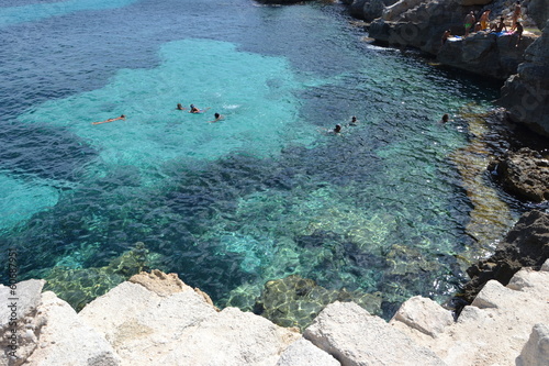 Mare