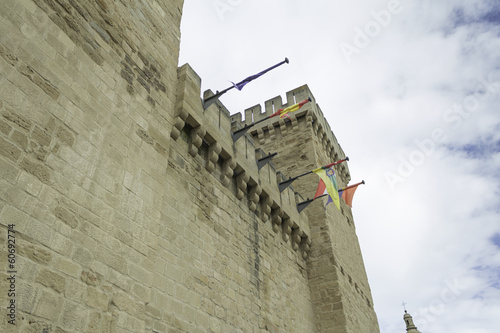 Castle with flags photo
