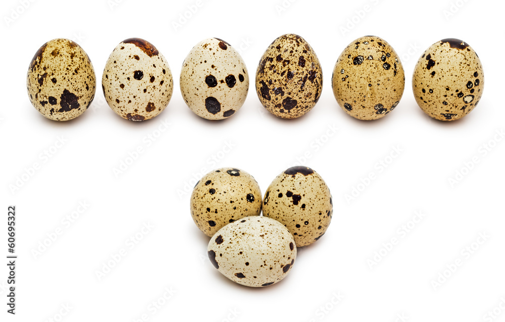 Fototapeta premium Quail eggs