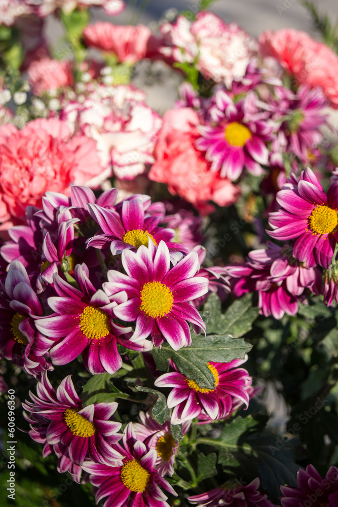 flowers flowers