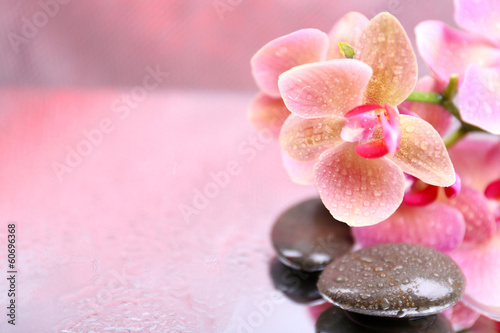 Fototapeta Naklejka Na Ścianę i Meble -  Composition with beautiful blooming orchid with water drops and
