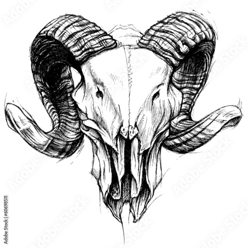 Ram Skull