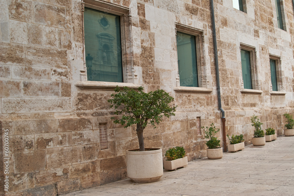 Historic  buildings with lace of city Valencia Spain