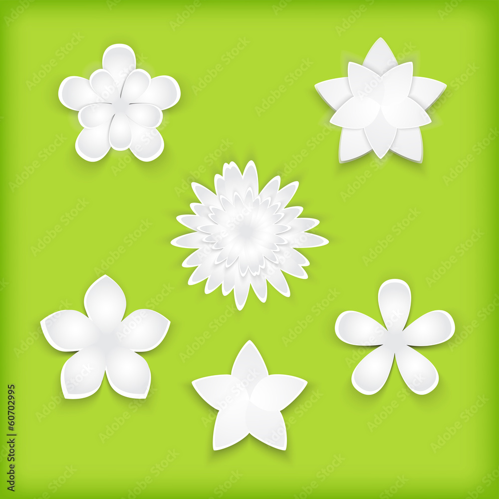 Fototapeta premium Paper flowers green