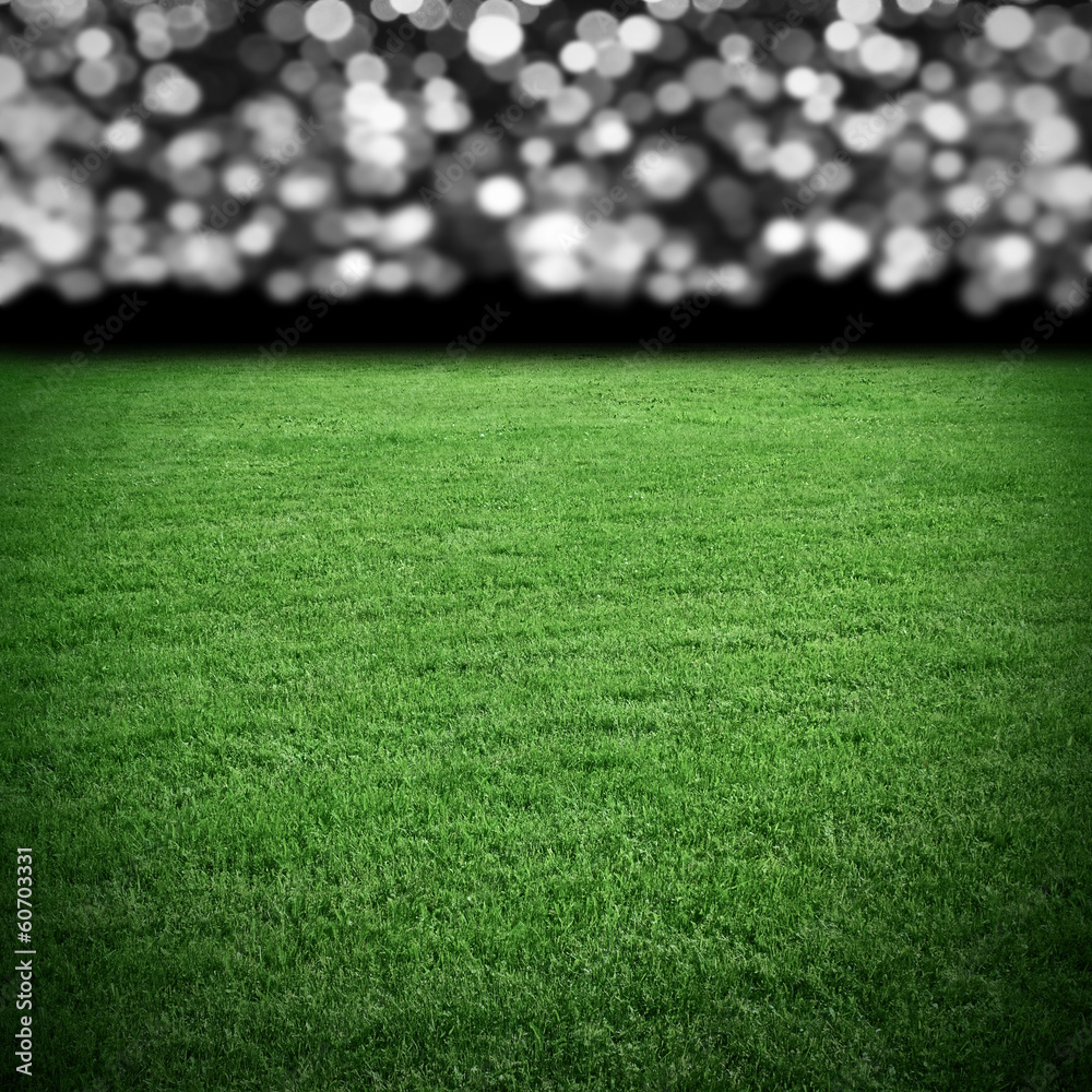 Grass field at arena