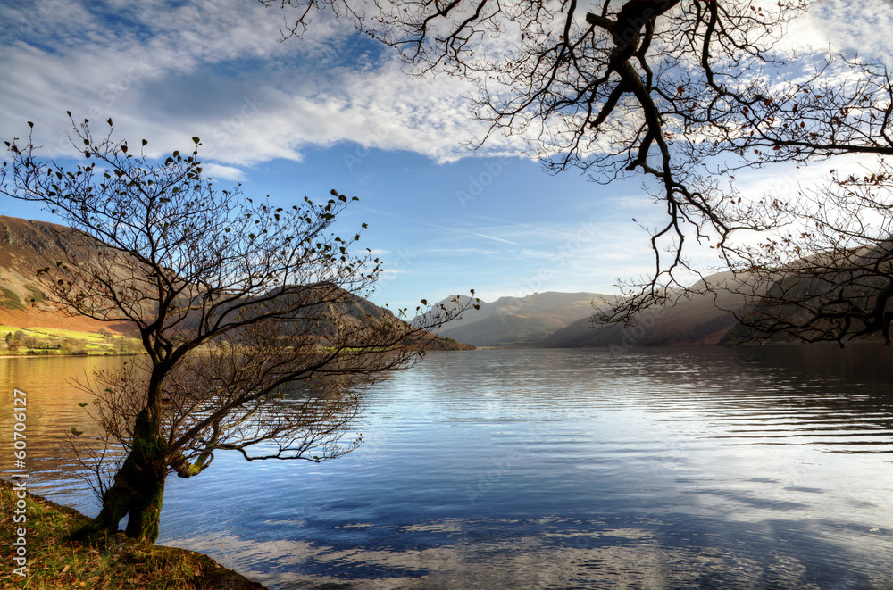 Two trees by Ennerdale Water