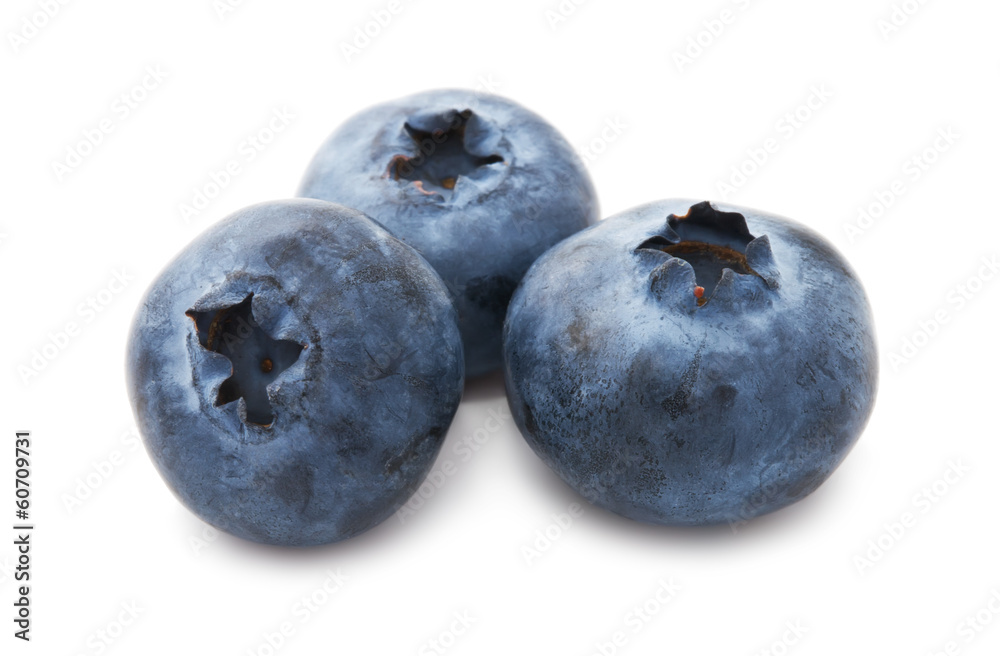 Blueberry Blueberry