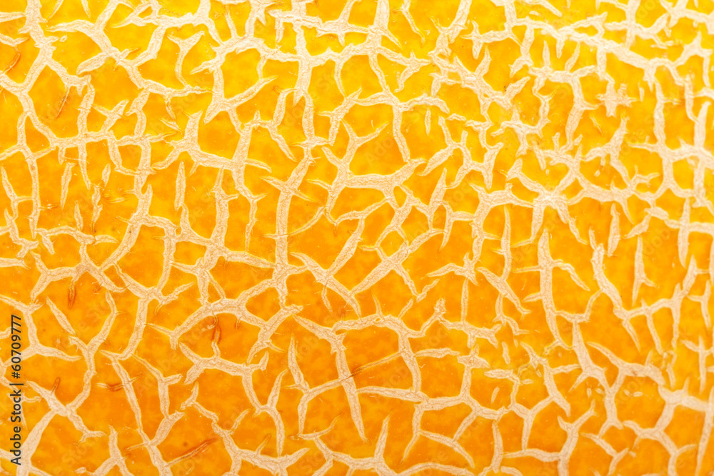 Melon Melon