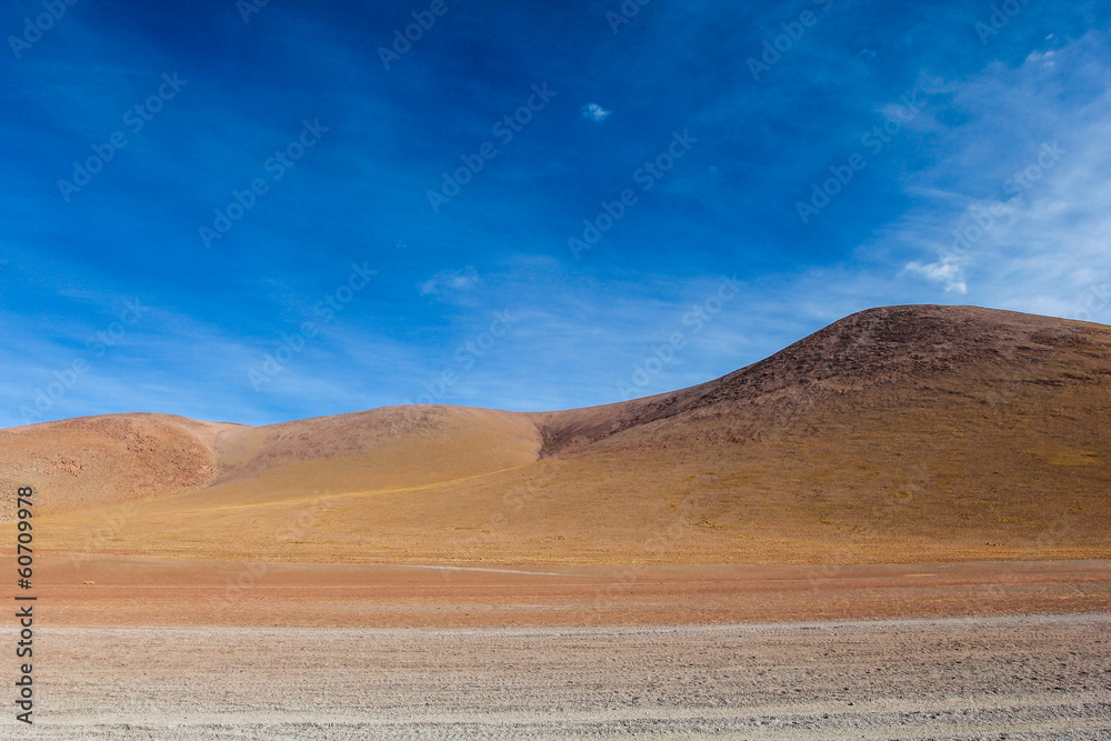 A desert on the altiplano of the andes in Bolivia A desert on the altiplano of the andes in Bolivia