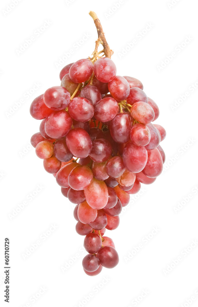 Grapes Grapes