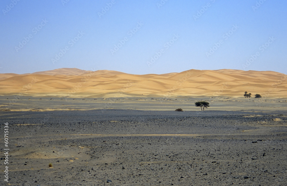 Sahara Desert Sahara Desert