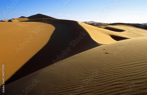 Fototapeta Naklejka Na Ścianę i Meble -  Sahara Desert
