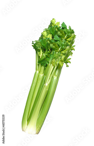 fresh green celery isolated on white