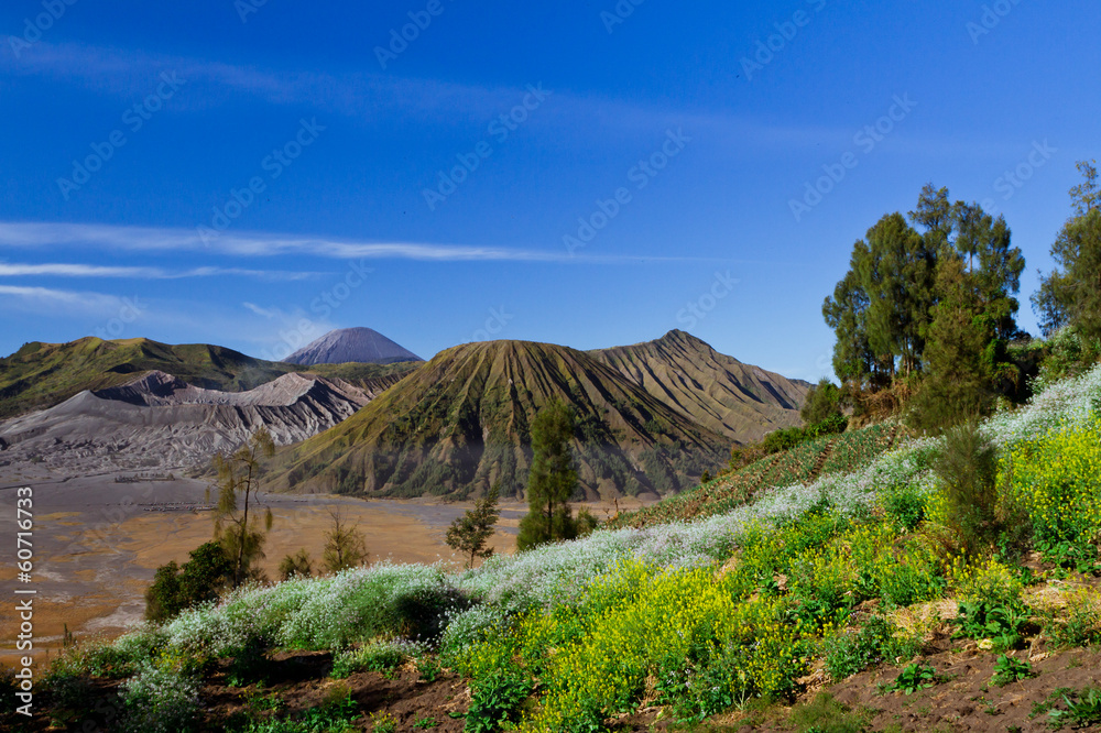View of a mountain at Jawa Indonesia