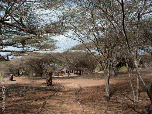 Remains of Takwa  in the Lamu District in Kenya photo