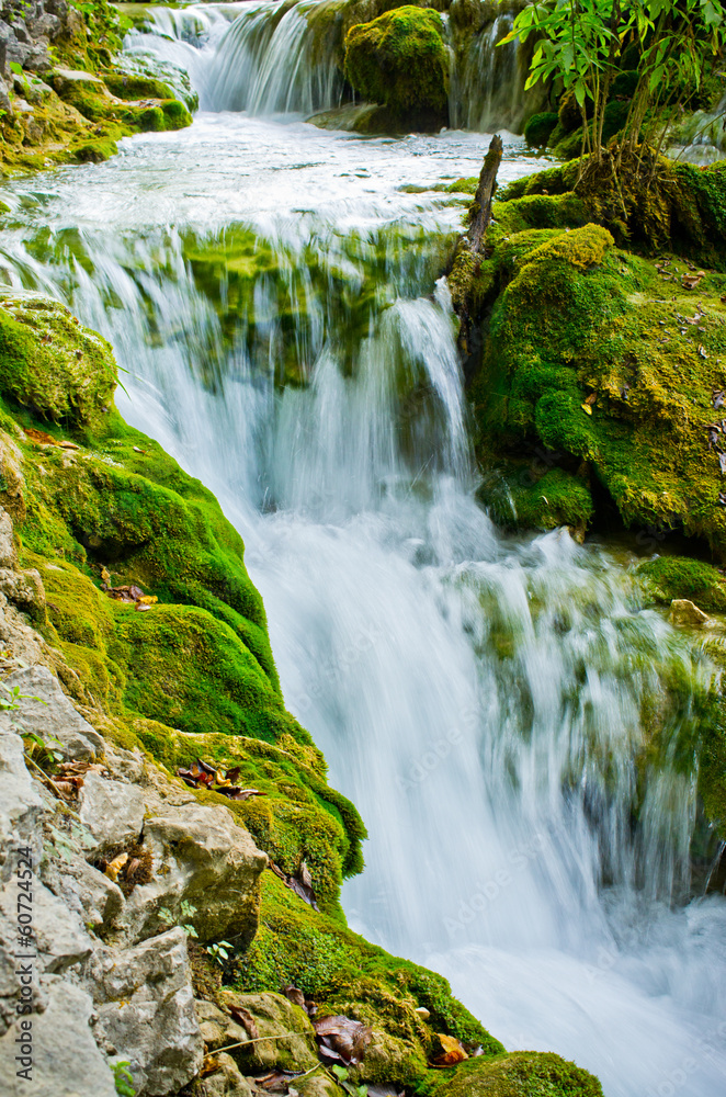 Naklejka premium Waterfall in Plitvice Lakes park, Croatia