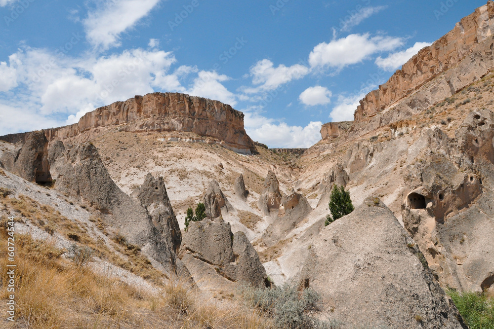 Fototapeta premium A savage landscape in Cappadocia
