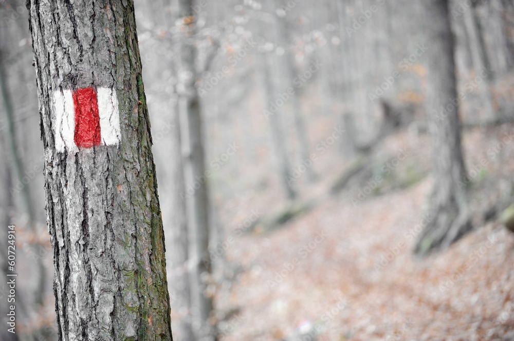 Fototapeta premium Red band sign on a tree