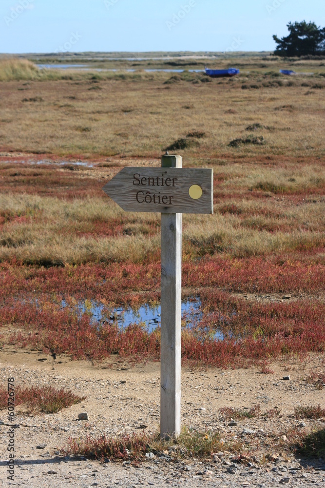 Randonnée au bord e la petite mer de Gâvres Riantec Photos Adobe Stock