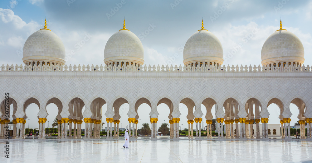 The Shaikh Zayed Mosque