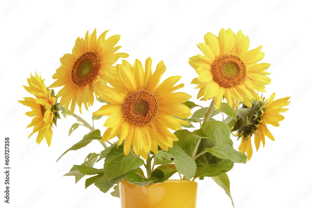 Obraz premium Sunflowers in yellow pitcher