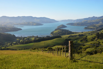 Crédence de cuisine Nouvelle-Zélande Port d'Akaroa à l'aube  © NigelSpiers