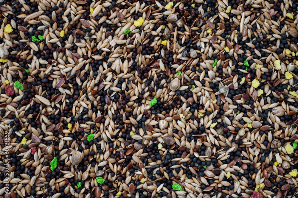 assorted bird feed assorted bird feed