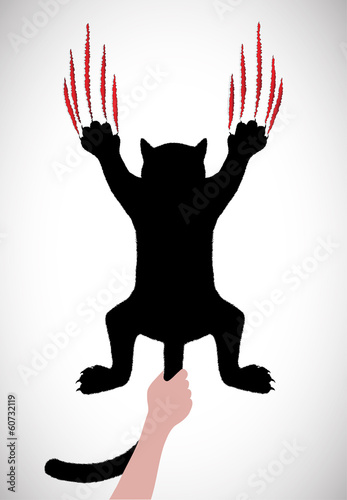 cat's claws breaking off a background