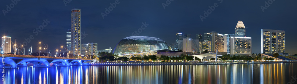 Naklejka premium Panorama of Singapore city at night