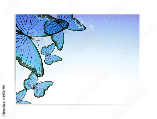 Vector flyer design with butterfly
