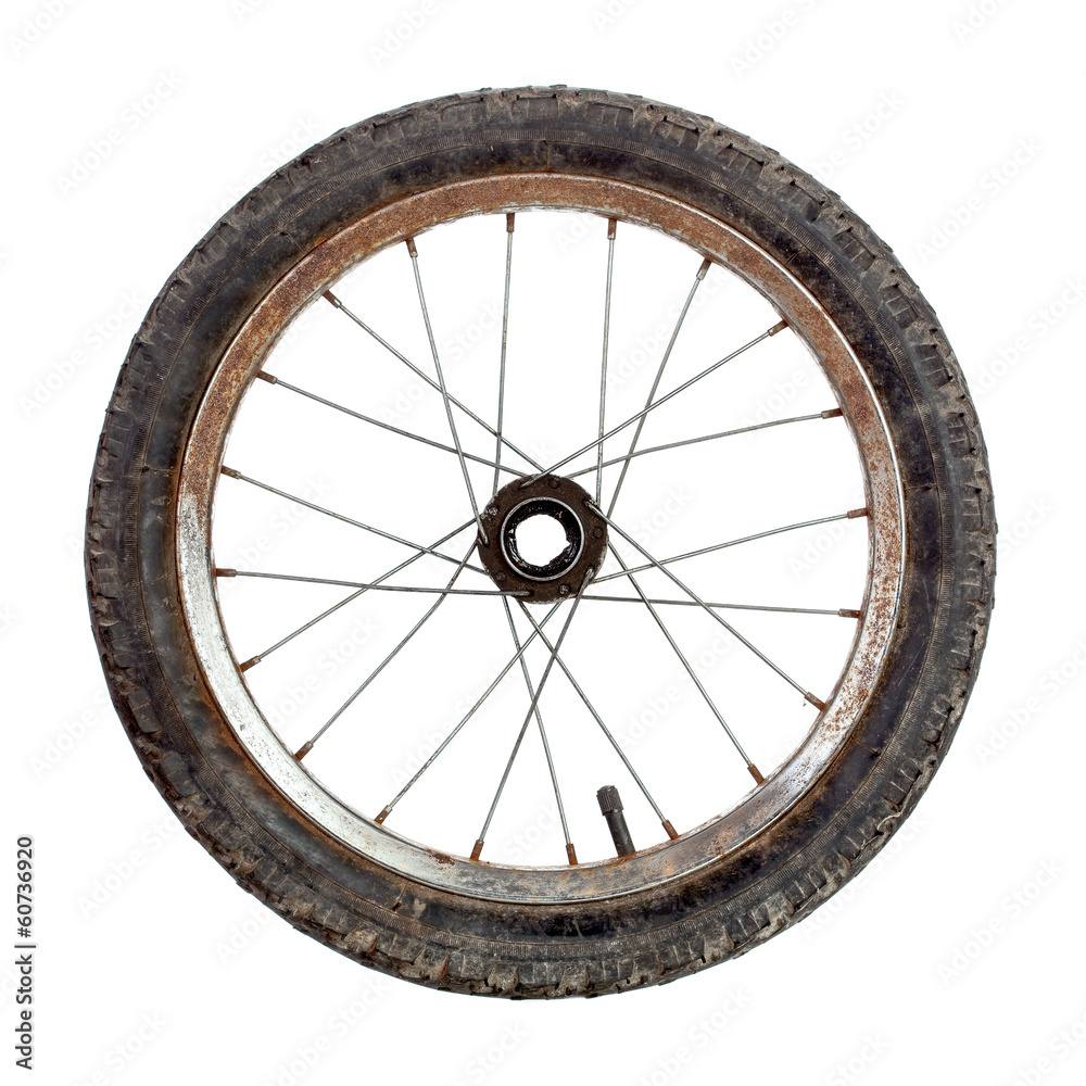Fototapeta premium Bicycle wheel