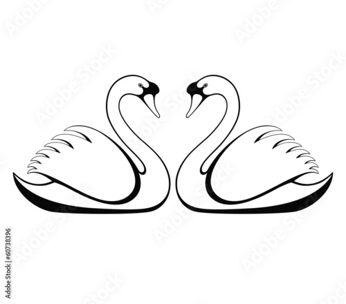 Swan