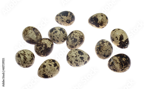 eggs quail on white background