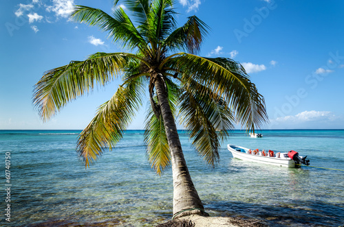 Caribbean beach with boat