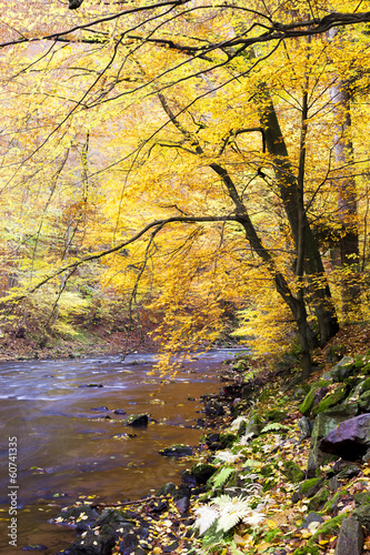 Metuje river in autumn, Czech Republic © Richard Semik
