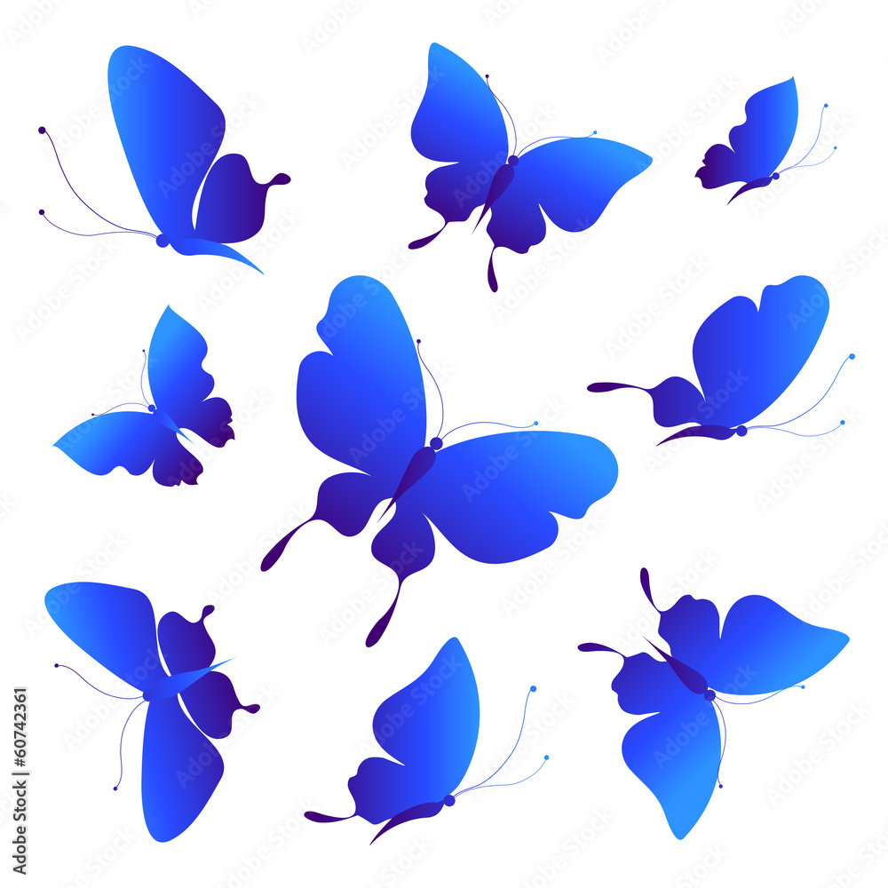 Fototapeta premium butterflies design