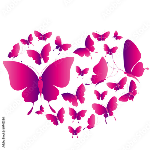 butterflies design