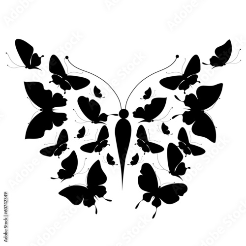 butterflies design